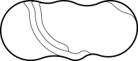 Orion Series